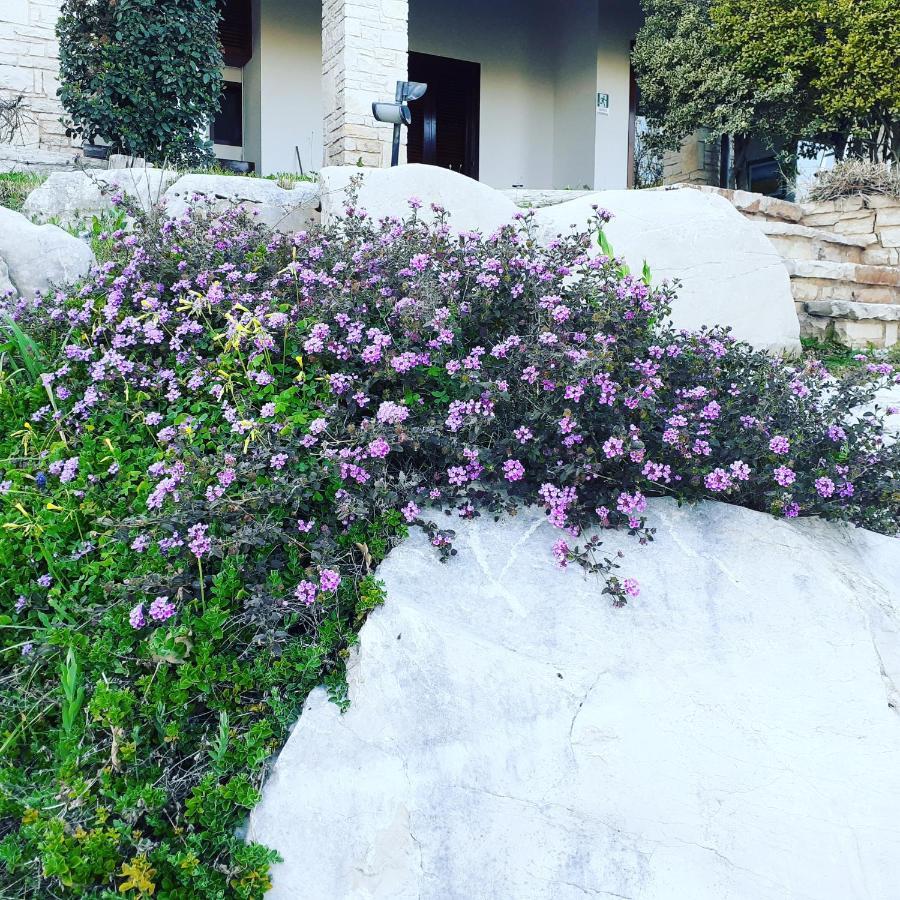 Maglioferro Residence Corato Exterior photo